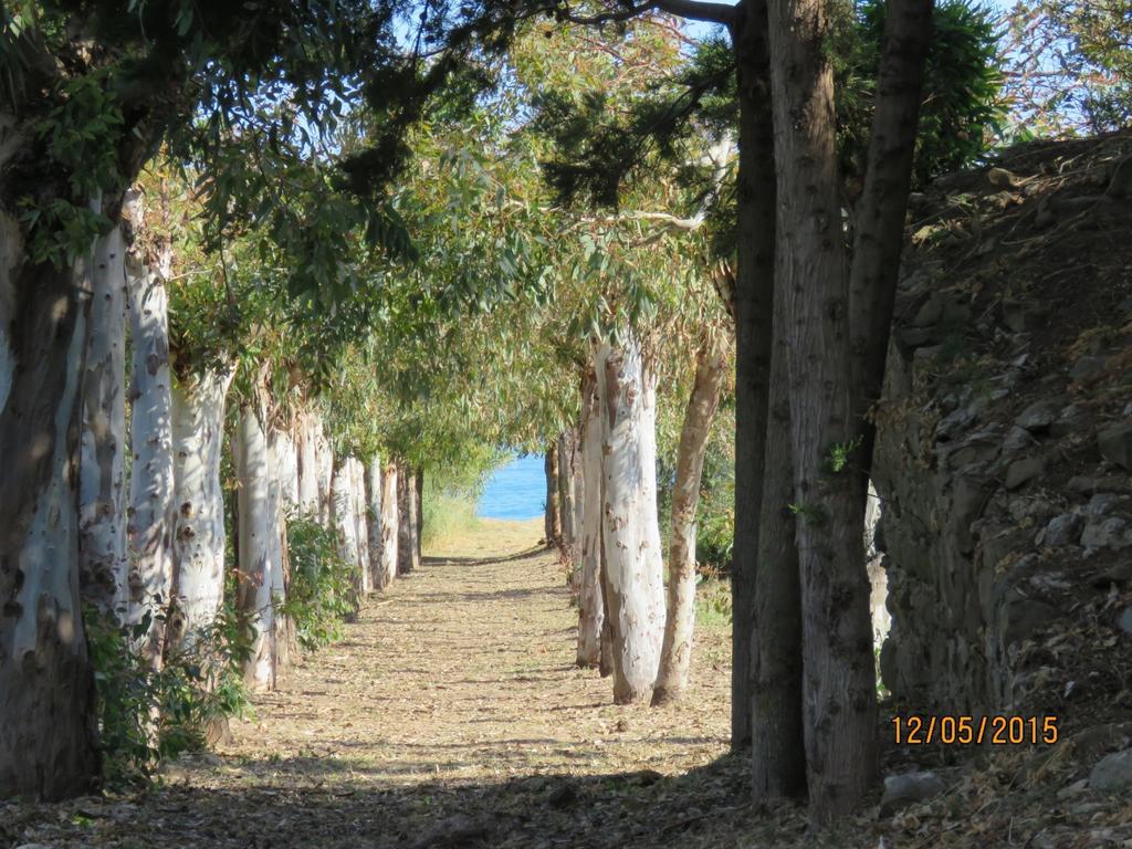Casa Verdemare Cefalù Εξωτερικό φωτογραφία