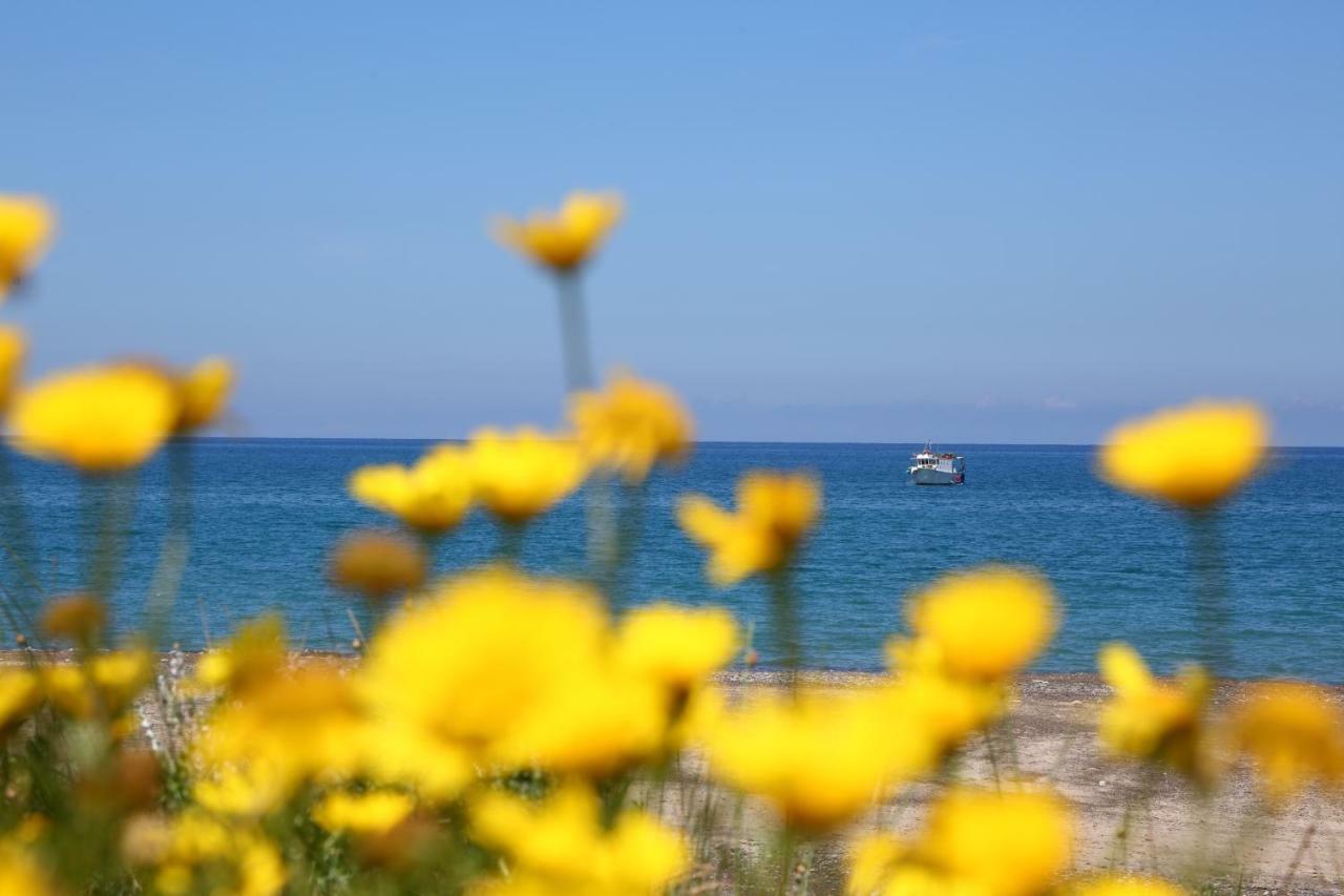Casa Verdemare Cefalù Εξωτερικό φωτογραφία